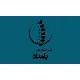 کارشناس HSE