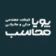 حسابدار مالی