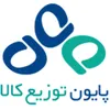 تحلیلگر داده