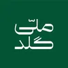 Technical Team Lead