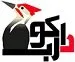 کارشناس سئو