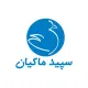 کارشناس آمار