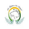 دستیار دامپزشک (جراحی)