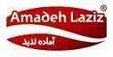 کارشناس ERP