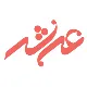 Senior GO Developer