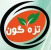 بازاریاب مواد غذایی در شرکت گوهر طلوع علیا
