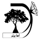 مدیر دیجیتال مارکتینگ و تولید محتوا