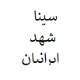 مدیر اجرایی