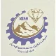 مدیر اجرایی - آقا