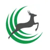 ویزیتور