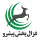 سرپرست حسابرسی داخلی