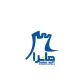 کارشناس IT - خانم