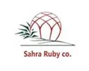 طراح سایت