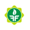 استخدام مدیر فنی (CTO)