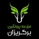 دستیار مدیرعامل