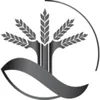 مهندس پلیمر
