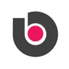 استخدام BI Developer