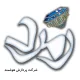 برنامه نویس Node.js