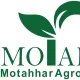 مدیر اجرایی - آقا